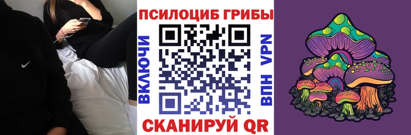 kraken tor Фокино Псилоцибиновые грибы прущие грибы наркошоп